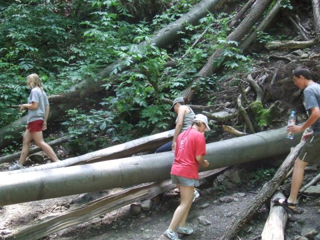 DSCF0130 (Medium)